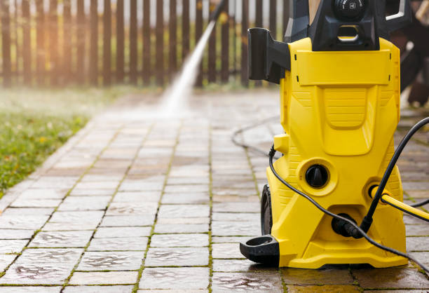Best Roof Washing  in Farmington, MN